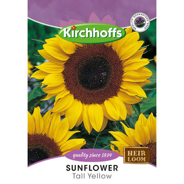 Kirchhoffs seed flower sunflower tall yellow