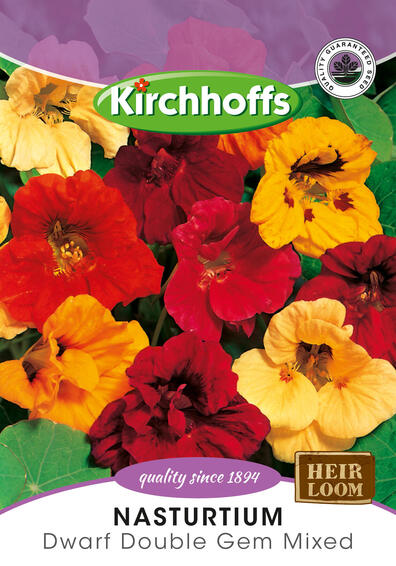 Kirchhoffs seed flower nasturtium double