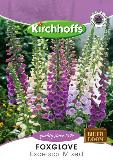 Kirchhoffs seed flower foxglove excelsior mix