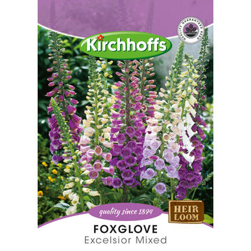 Kirchhoffs seed flower foxglove excelsior mix