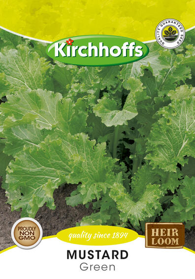 Kirchhoffs seed herb black mustard