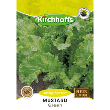 Kirchhoffs seed herb black mustard
