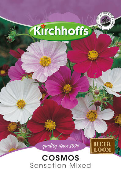 Kirchhoffs seed flower cosmos sensation mix