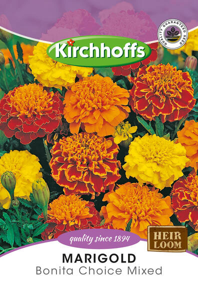 Kirchhoffs seed flower marigold bonita mix