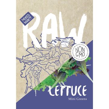 Raw seed lettuce mini greens mix