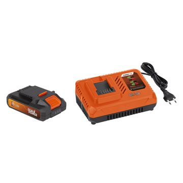 dual power 20v charger and 2 0ah battery