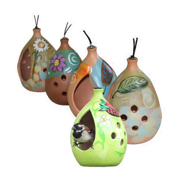 Bird Feeder, Barbet Feeder, ELAINES BIRDING, 19cm
