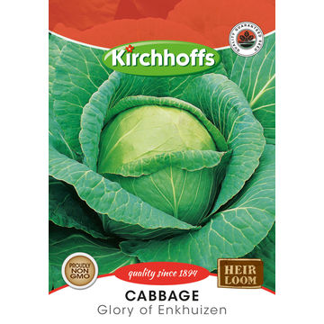 Kirchhoffs seed vegetable cabbage glory enkhuizen