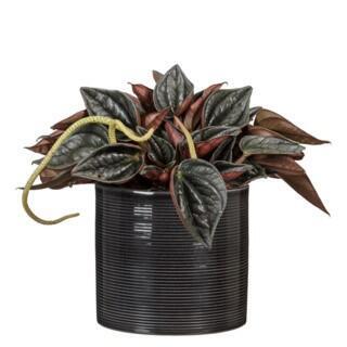 Scheurich ceramic plant pot glass grey 14cm