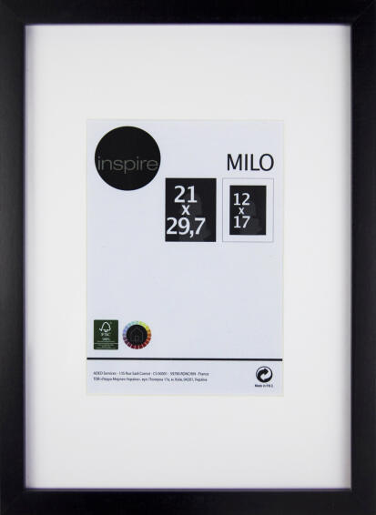 Inspire  milo frame black 21x29.7cm