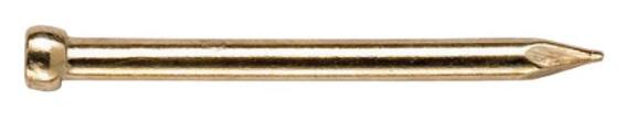Lost head nail brass plated 2.0x40mm 50pc standers