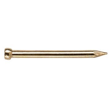 Lost head nail brass plated 2.0x40mm 50pc standers