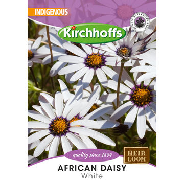 KIRCHHOFFS FLOWERSAFRICAN DAISY WHITE