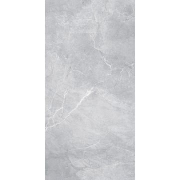 Floor tile porcelain armani silver polish 600x1200mm