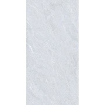 Floor tile porcelain spanish grey polish 60x120