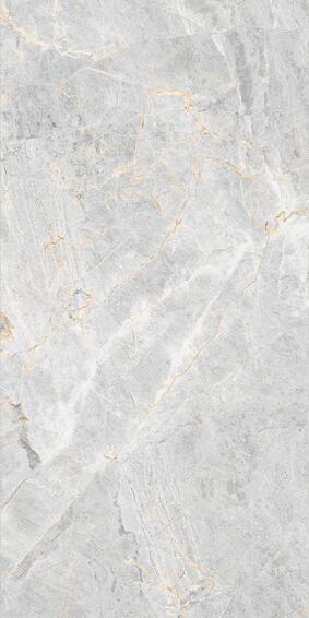 Floor tile porcelain montreal rich polished 600x1200mm