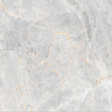 Floor tile porcelain montreal rich polish 600x600mm