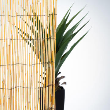 Fence Reed Cane Lowest Price 50% Low Privacy 1,5 m X 3 m