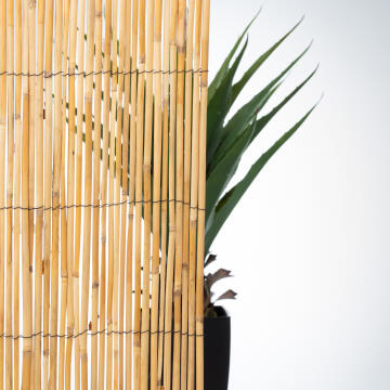 Fence Split Reed Cane NATERIAL Medium Privacy NATERIAL 80% 1,5 m X 3 m