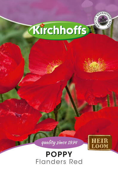 KIRCHHOFFS FLOWERSPOPPY FLANDERS RED