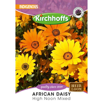 KIRCHHOFFS FLOWERSAFRICAN DAISY HIGH