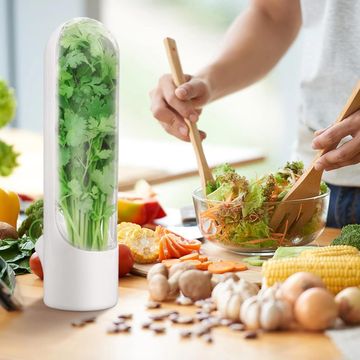 Fine living fresh herb saver 