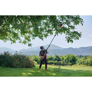 Einhell power x-change pole pruner 18 v
