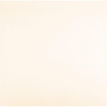 Floor Tile Porcelain Nano Polished L60cm x W60cm (1.44m2/box)