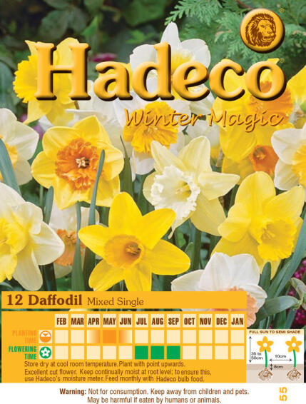 DAFFODIL/NARC MIXED SINGLE
