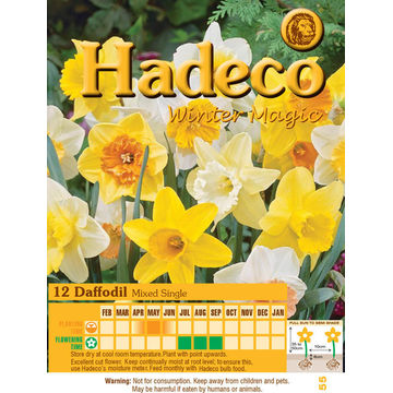 DAFFODIL/NARC MIXED SINGLE