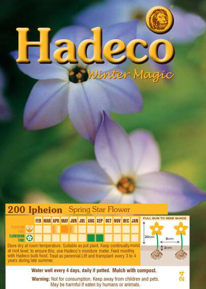 IPHEION VALUE PACK