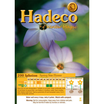 IPHEION VALUE PACK
