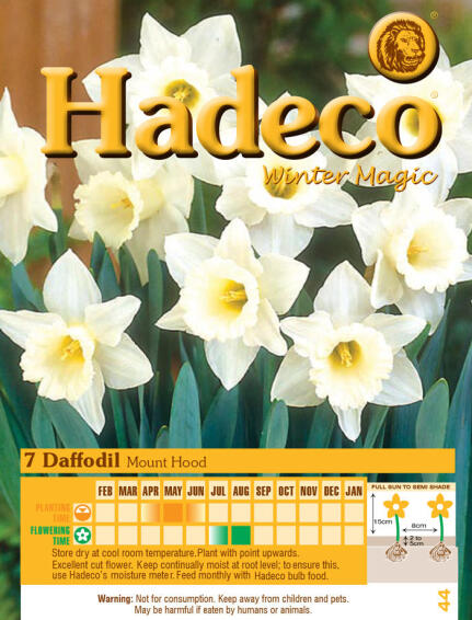 DAFFODIL /NARC MOUNT HOOD