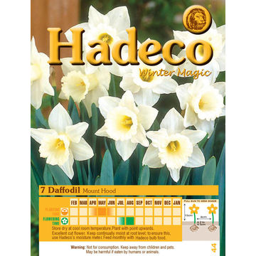 DAFFODIL /NARC MOUNT HOOD