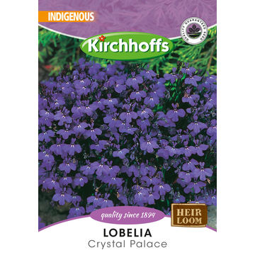 KIRCHHOFFS FLOWER LOBELIA CRYSTAL PALACE