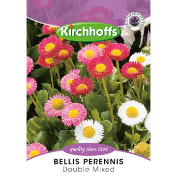 KIRCHHOFFS FLOWERS BELLIS DOUBLE MIX