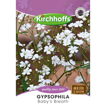 KIRCHHOFFS FLOWERS GYPSOPHILA BABYBREATH