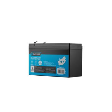 Switched LiFePO4 Battery for Gate Motor & Alarm