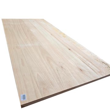 Countertop Saligna L2400 x W900 x T32mm