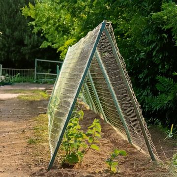 SKYNET JUTE CLIMBING PLANTS 1,5X3M 1PACK