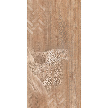 Wall Tile Madikwe Feature 600x300mm (2.52m2/box)
