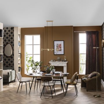 Inspire eligio terra cushion 40x60cm