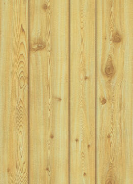 Wallpaper Raw Wood 1 Paper 10mx53cm