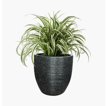 Sedona plant pot large granite dark smooth light w