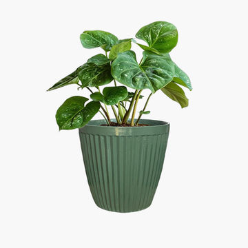 Barcelona plant pot large olive green lightweight