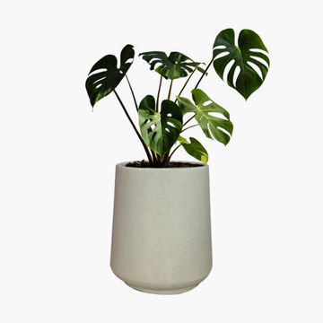 Nebraska plant pot mini urban concrete lighweight