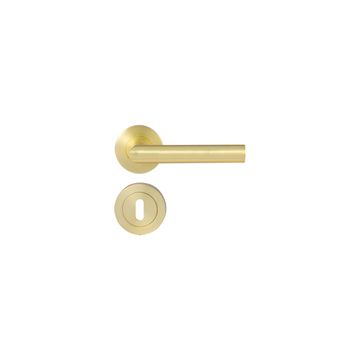 Door handle rose sara brass brush matte