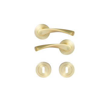 Door handle rose arosa brass brush matte