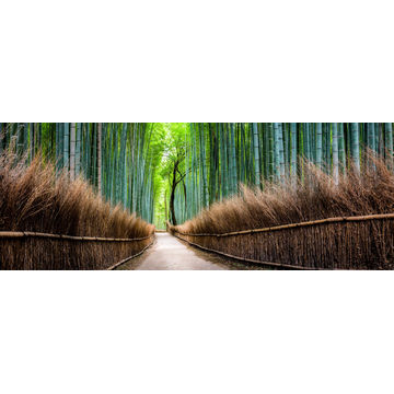 Wall Art Deco Glass Green Road 30x80cm