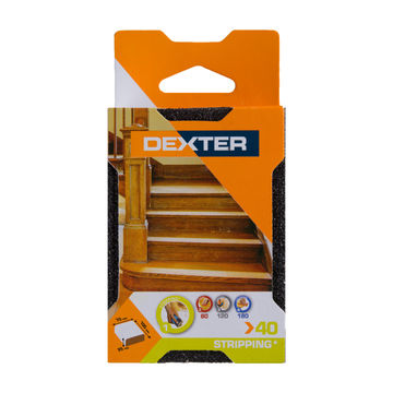 Sponge block sm G40 DEXTER 100x70mm